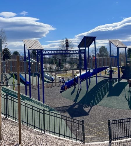 Quail-Orchard-Park-1-scaled